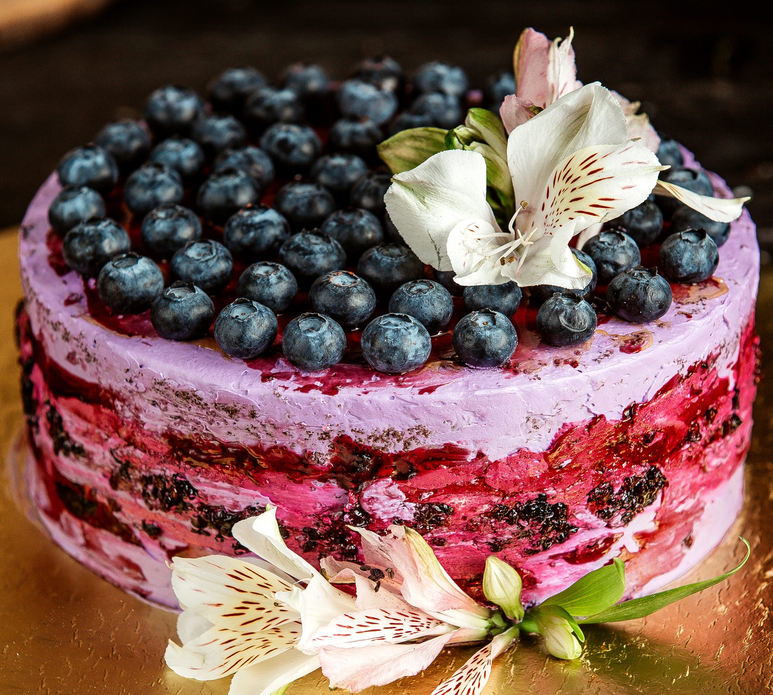 side view chocolate cake with blueberry and cream side view chocolate cake with blueberry and cream